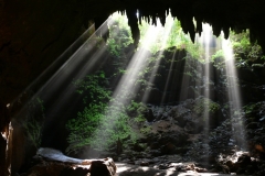 Cuevas