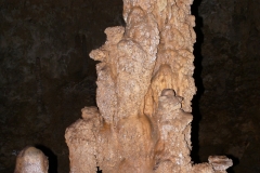 61P1040996